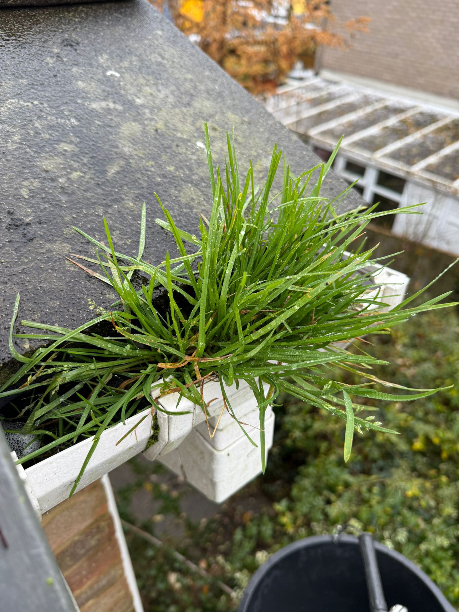 Blocked gutter downpipe in Twyford